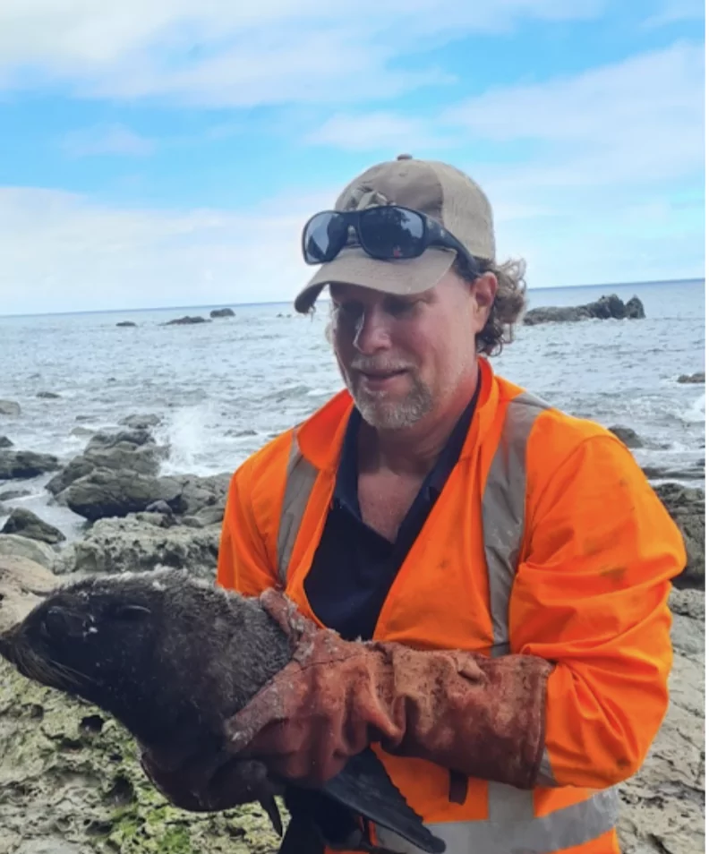 Fur seal pups and motorcyclists benefit by additional guardrail Kaikōura