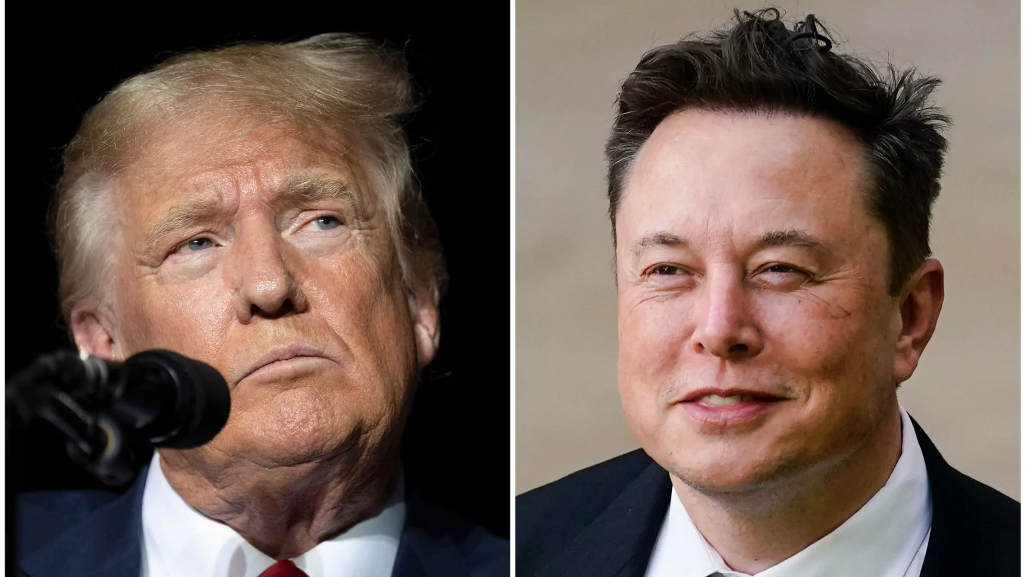 “Massive DDOS attack on 𝕏” stops Donald Trump interview Elon Musk claims