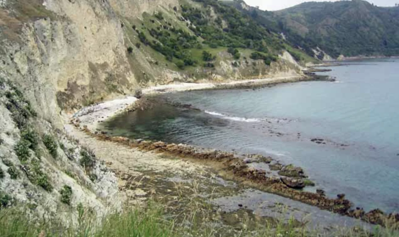 Man’s body found in water near Kaikōura