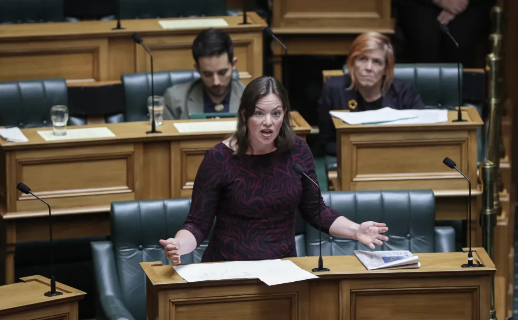 Privileges Committee finds Green MP Julie Anne Genter in Contempt for intimidating National MP Matt Doocey