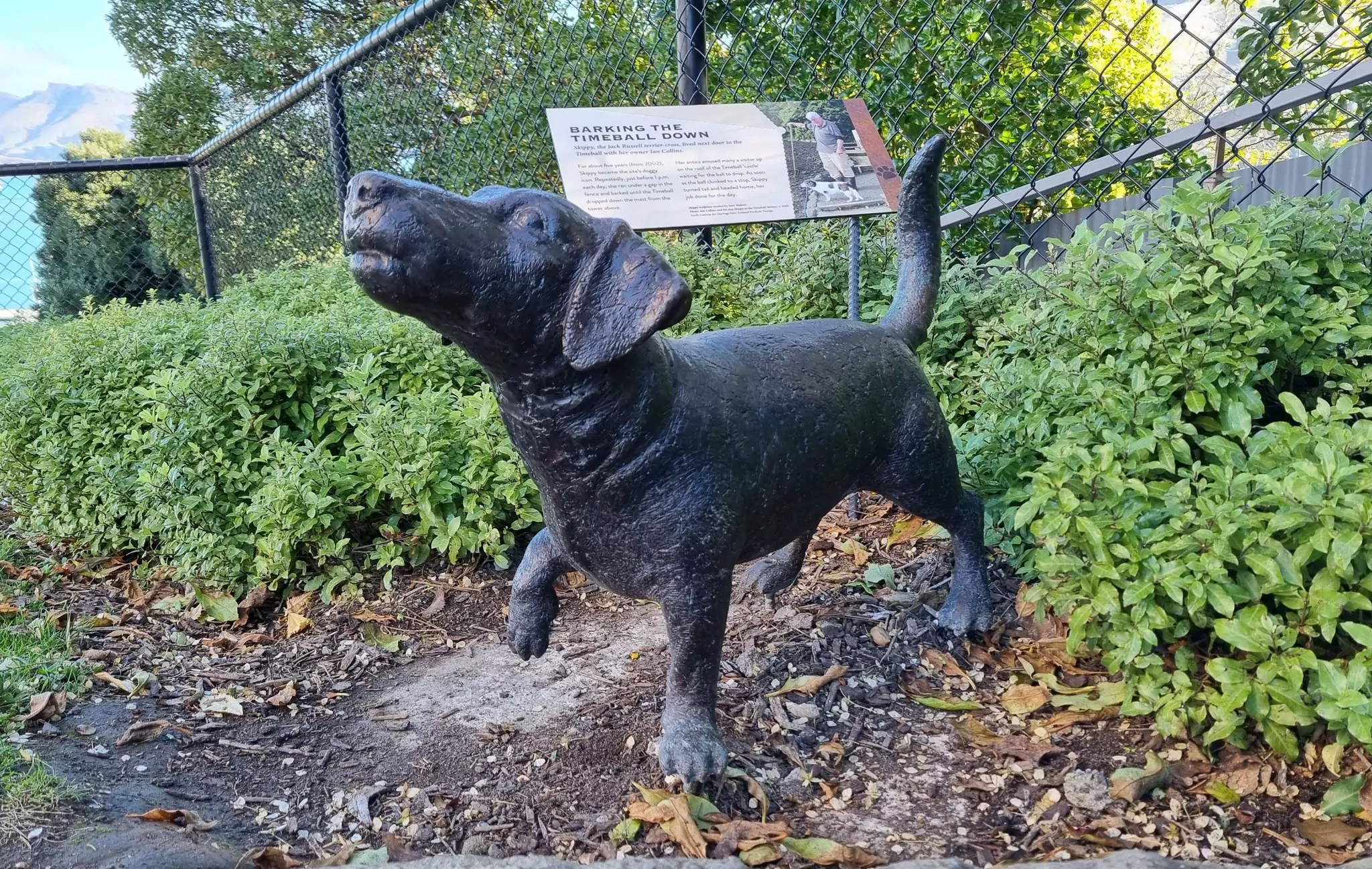 Public urged to help find beloved Skippy dog statue stolen from Lyttelton Timeball