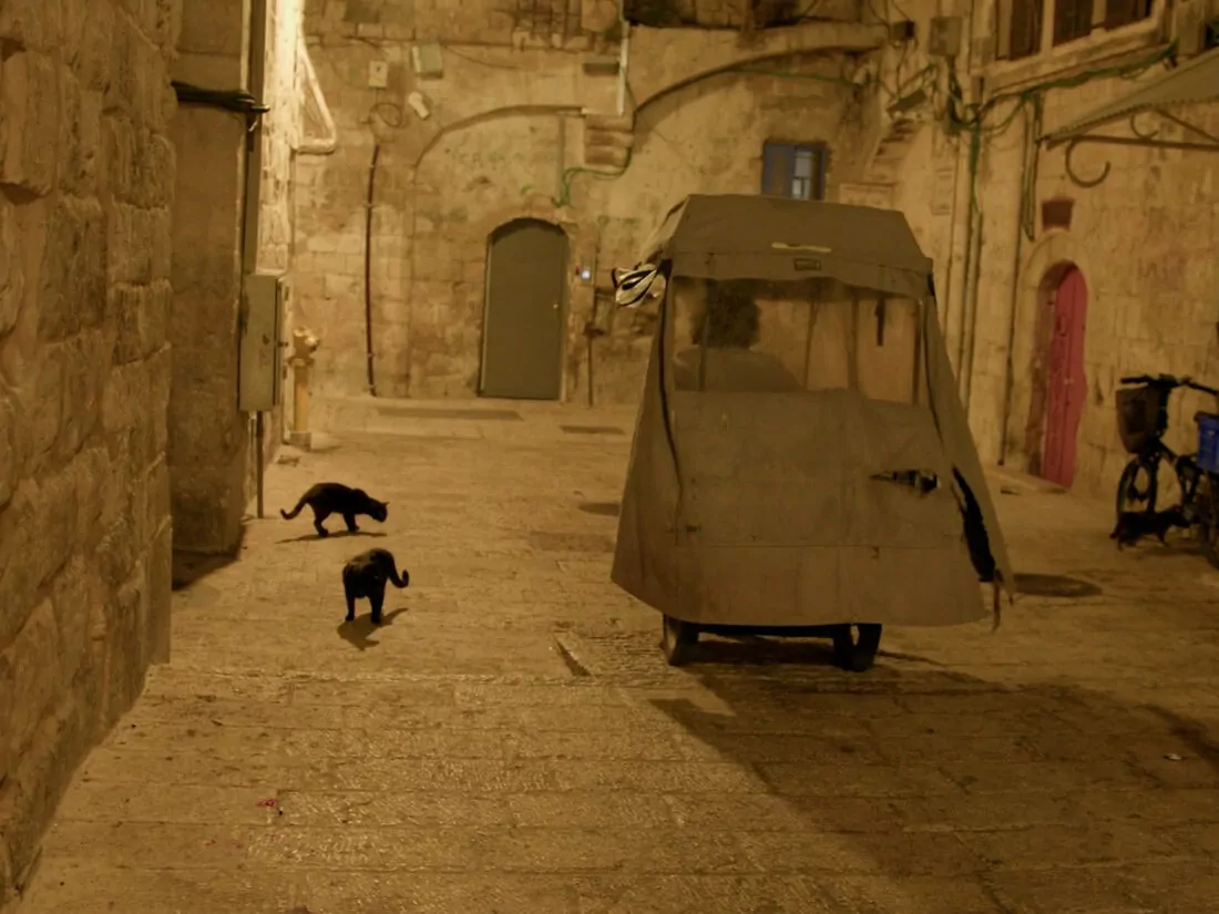 Screenshot from 'Cats in Conflict' 