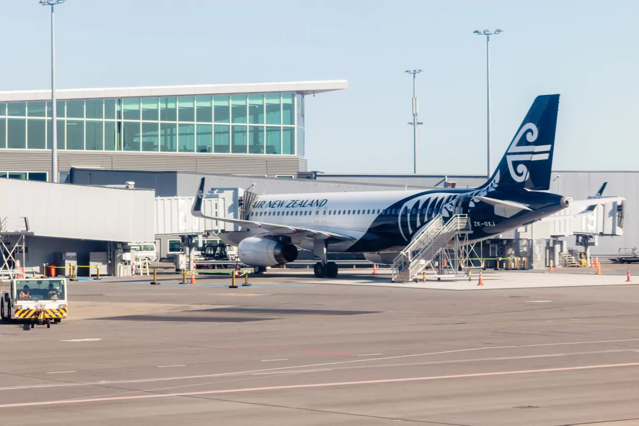 Air NZ flight aborts take-off in Christchurch after bird strike