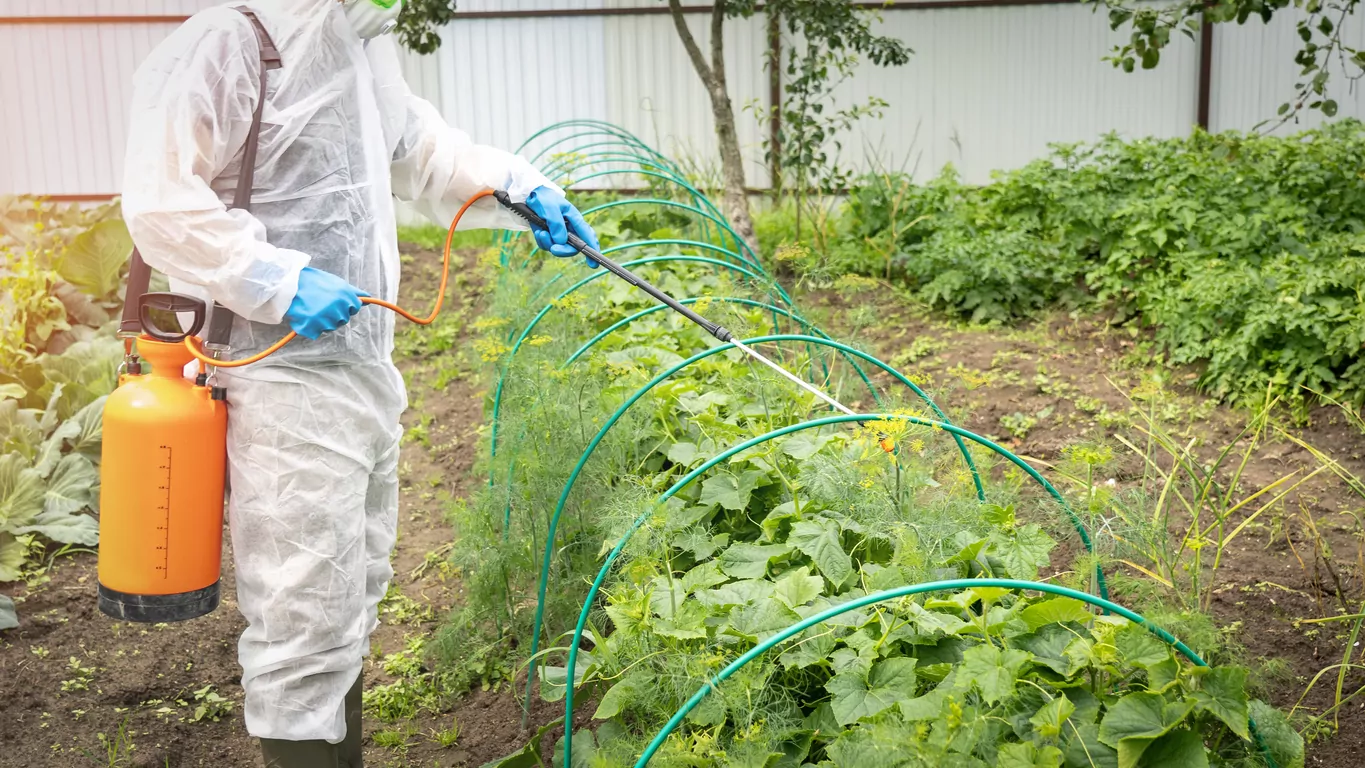 New Zealand’s Environmental Protection Authority issues a rare “red alert” for herbicide-containing products