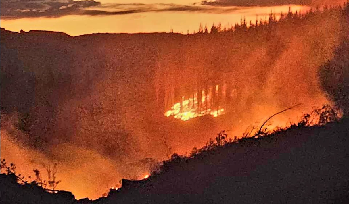 Firefighters battle forest fire in North Canterbury