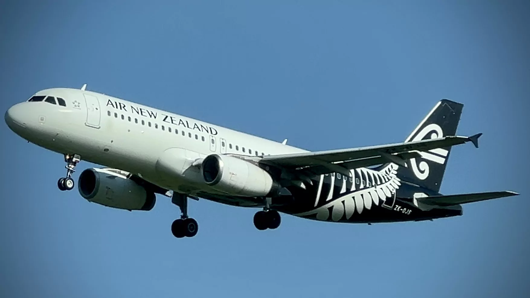 Air New Zealand / Photo: Chris Lynch