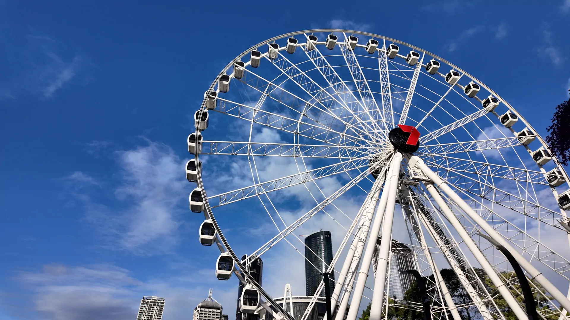 Brisbane Wheel