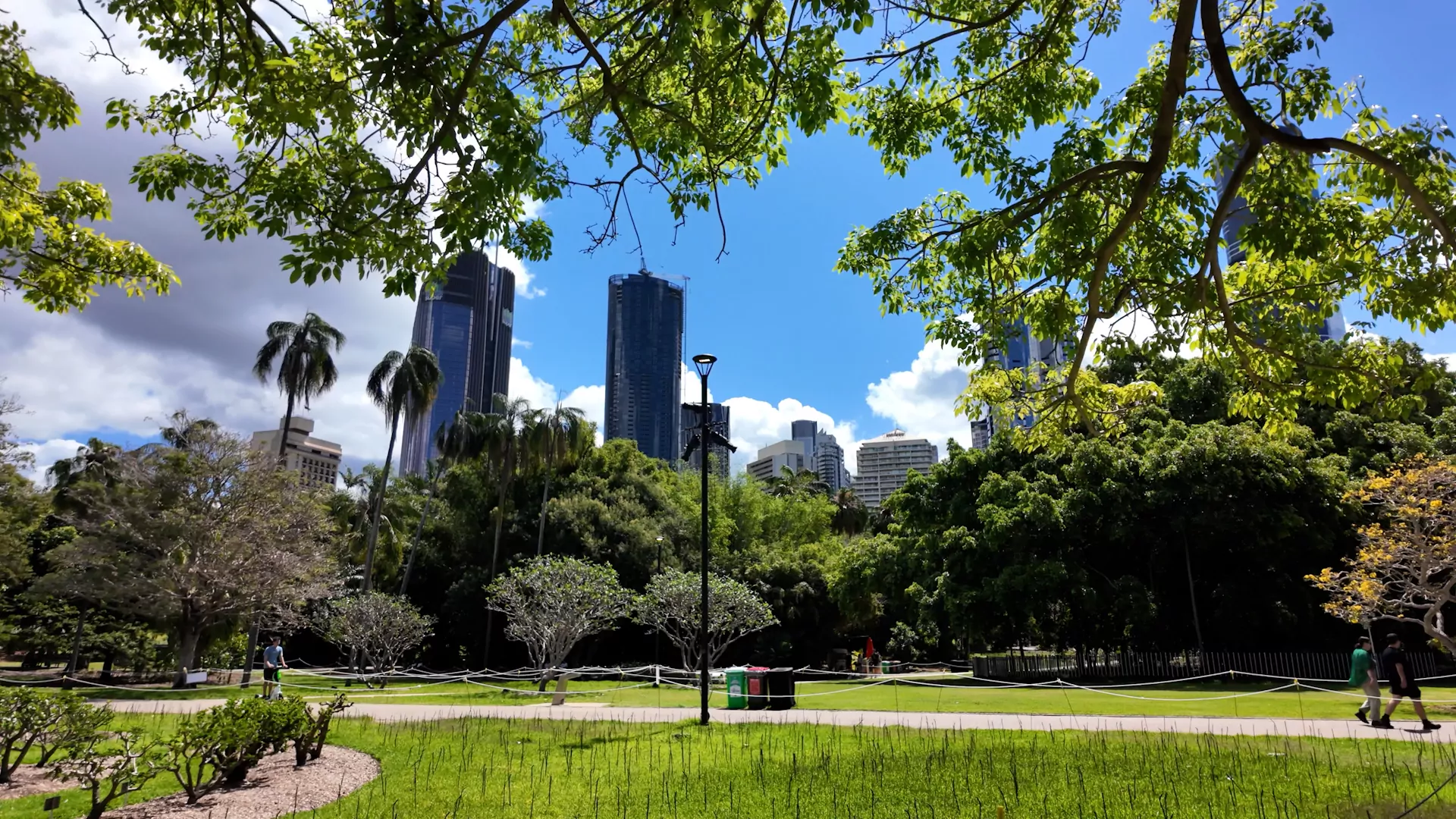 Brisbane’s Botanic Gardens