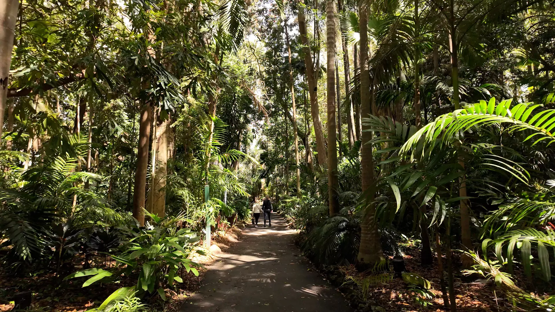 Brisbane’s Botanic Gardens