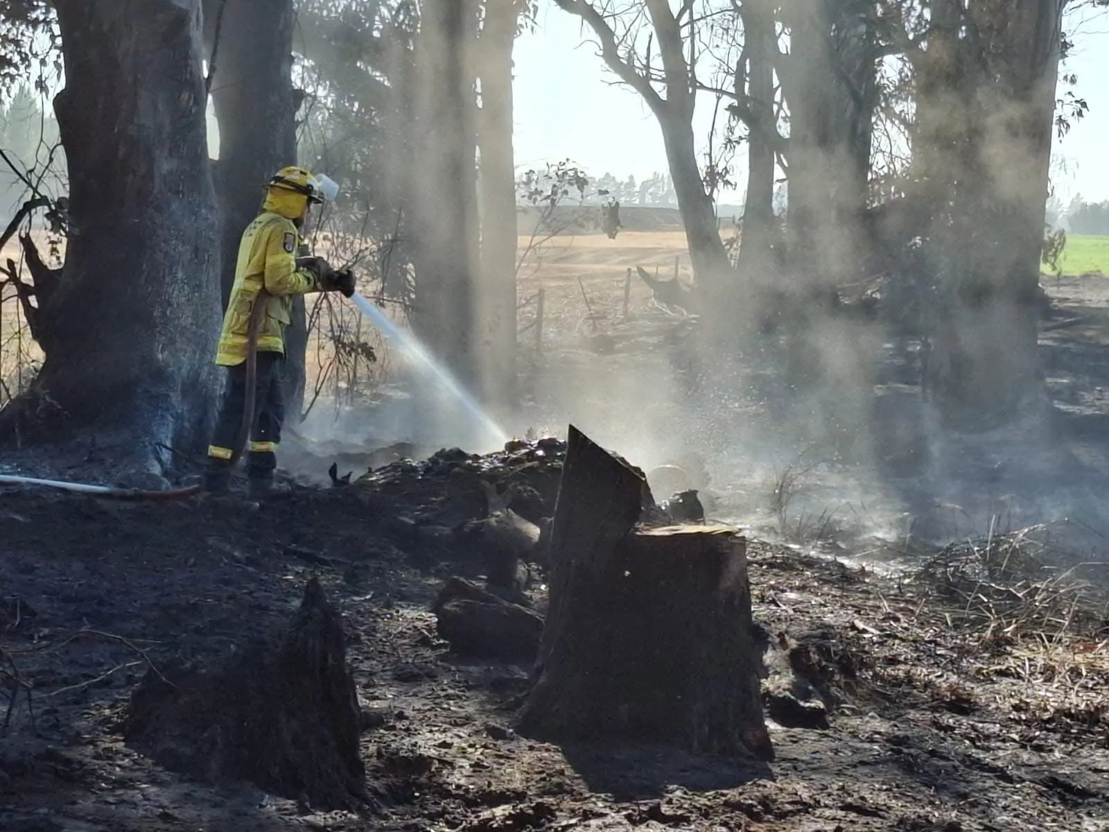 Fire crews contain West Melton blaze, residents return home