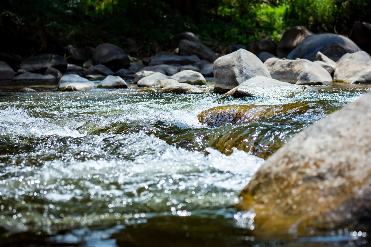 Health warning issued for Waimakariri River upstream of Old Highway Bridge