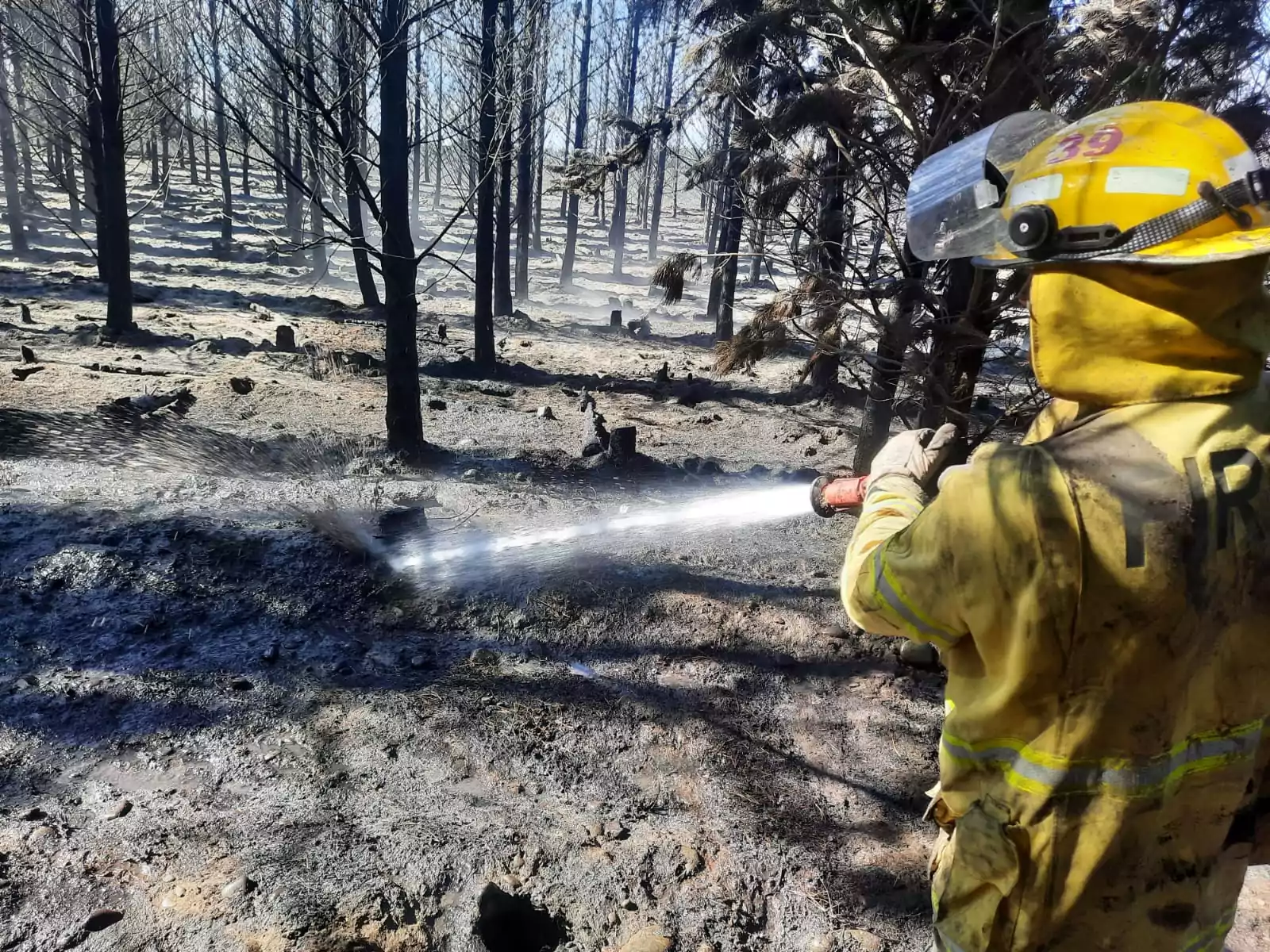 Fire crews to begin scaling down efforts at West Melton and Kirwee fires