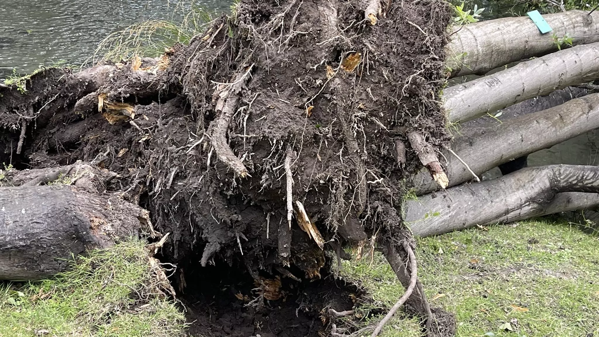 Strong winds keep fire crews busy across Christchurch