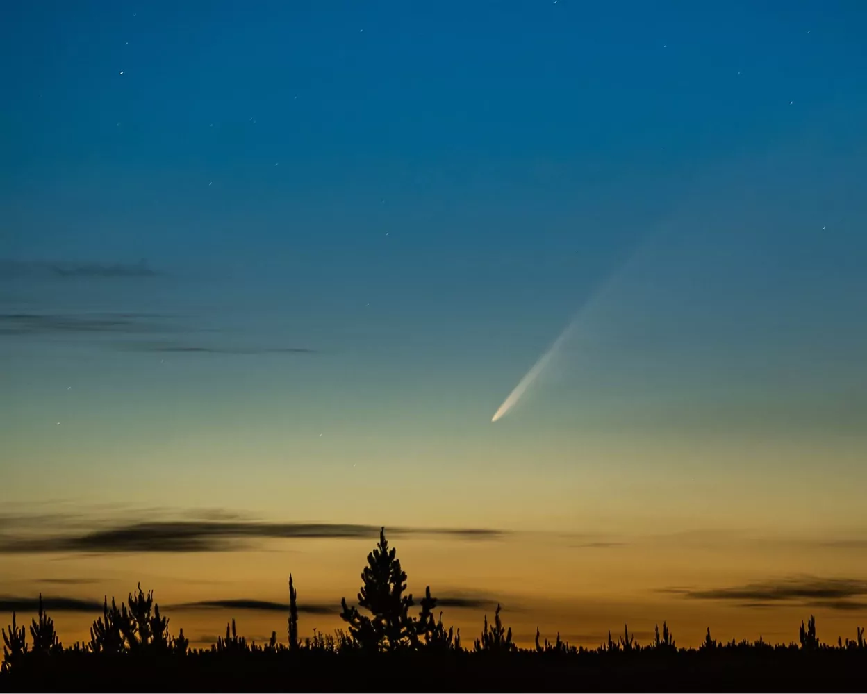 Canterbury photographer captures stunning image of rare 180,000-year-old comet