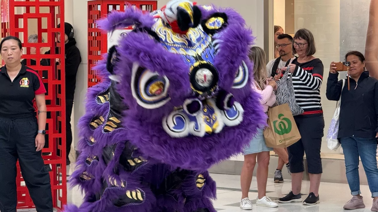 Lunar New Year celebrations surprise Christchurch mall shoppers with lion dance spectacle