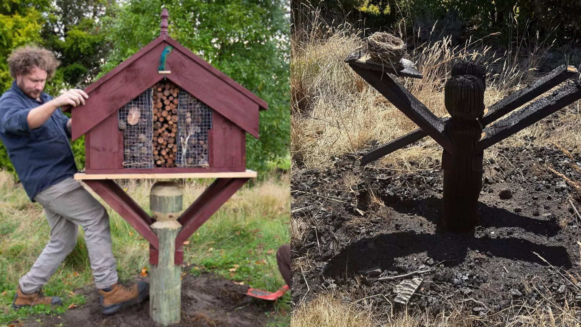 ‘Bug hotel’destroyed by fire angering council ranger staff