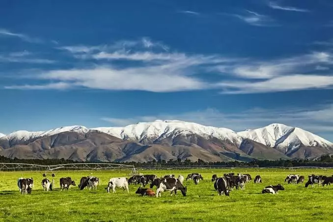 Farmer confidence hits highest level in a decade