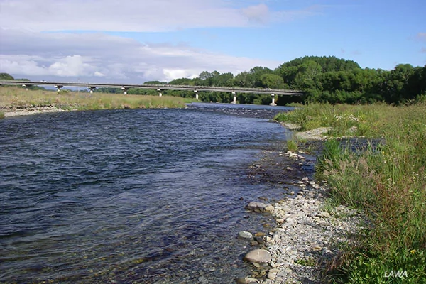 Health warning issued for Ōpihi River due to toxic algae risk