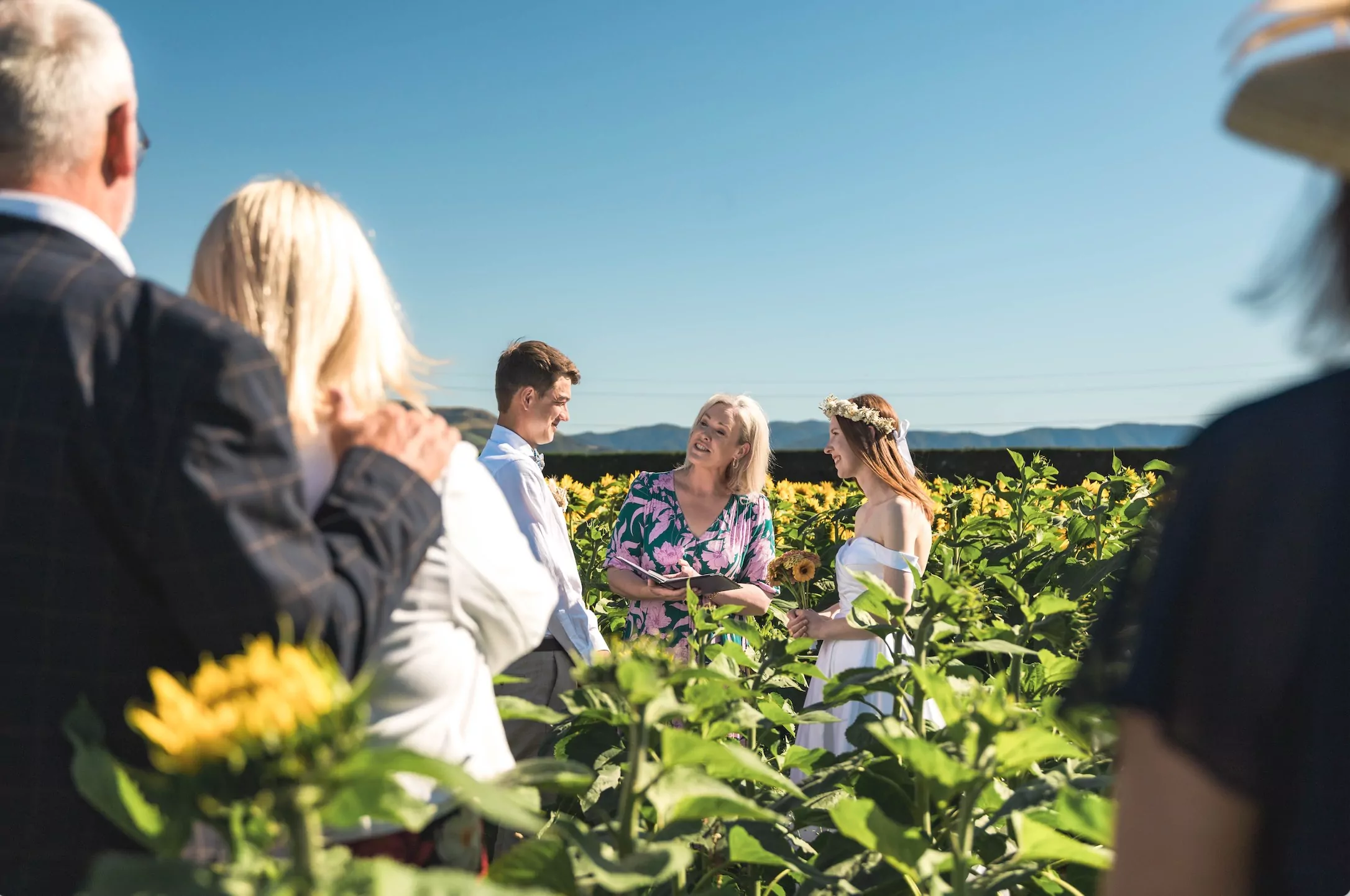 Canterbury sunflower farm raising funds for charity through elopements