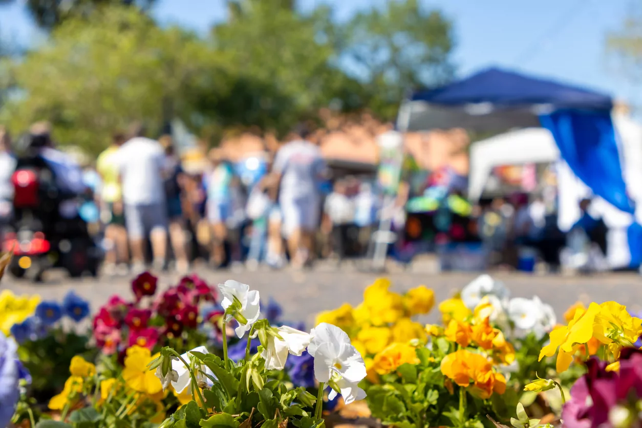 Hello Hornby ‘Party in the Park’ returns to Wycola Park